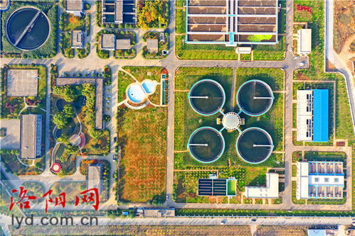 洛陽新區污水處理廠二期擴建工程綠化完工